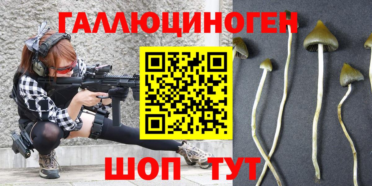 Галлюциногенные грибы Magic Shrooms Рубцовск
