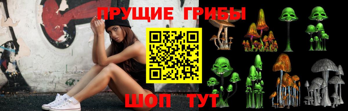 Галлюциногенные грибы прущие грибы  Вход с VPN  Рубцовск  Псилоцибиновые грибы GOLDEN TEACHER 